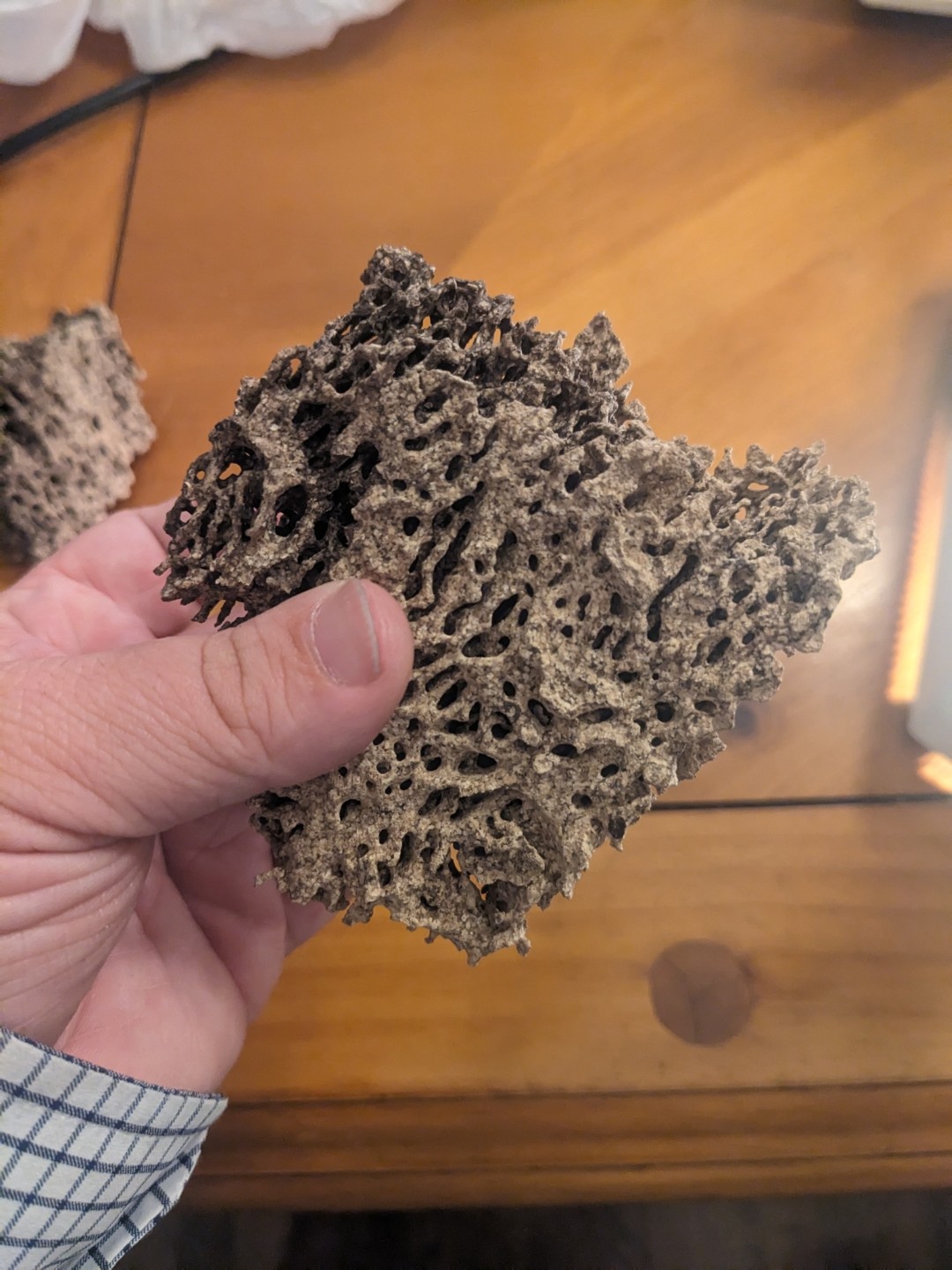 Figure 4: Carton nest of the Formosan subeterranean termite extracted from their nest. Photo: David Bowers